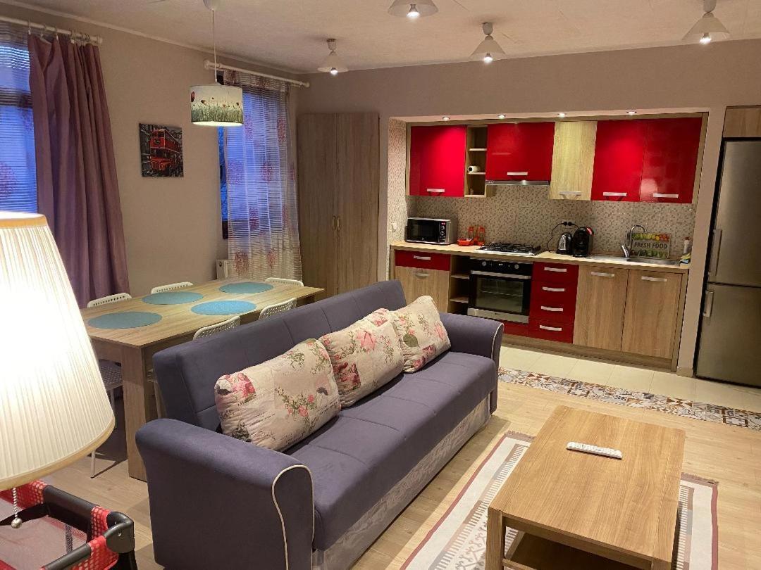 Апартаменти Igi Red Flat With Free Private Parking Клуж-Напока Екстер'єр фото